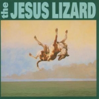 Jesus Lizard Down