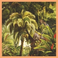 Xiu Xiu La Foret -coloured-