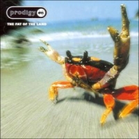 Prodigy Fat Of The Land