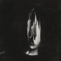 Haunted, The Dayburner