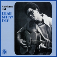 Louisiana Red Dead Stray Dog