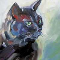 Garish Komm Schwarzer Kater