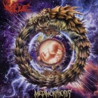 Vile Metamorphosis