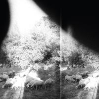 Godspeed You! Black Emperor Asunder, Sweet And Other Distress
