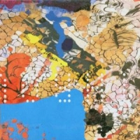 Throwing Muses Throwing Muses