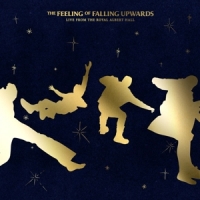 5 Seconds Of Summer The Feeling Of Falling Upwards