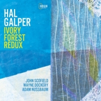 Galper, Hal & Scofield, John Ivory Forest Redux