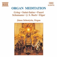 Various Organ Meditation