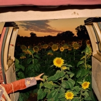 Morby, Kevin Little Wide Open