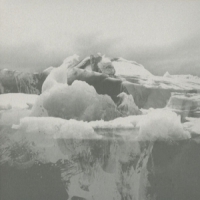 If These Trees Could Talk The Bones Of A Dying World