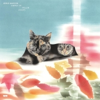 Eddie Marcon Carpet Of Fallen Leaves