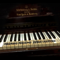 Perdomo, Fernando -'s Out To Sea Band- Zebra Crossing