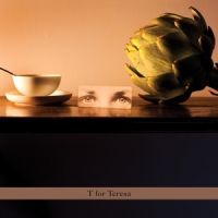 Artichaut Orchestra T For Teresa