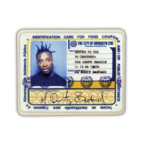Ol' Dirty Bastard Return To The 36 Chambers: The Dirty Version -coloured-