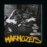 Marmozets The Weird And Wonderful