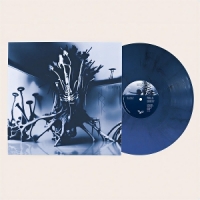 P.noir- Mycelial Whispers Delving Into The Decaying Pulse Of