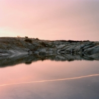 Jenkins, Cassandra (an Overview On) An Overview On Phe