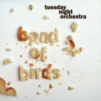 Tuesdaynight Orchestra Band Of Birds