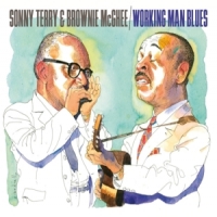 Terry, Sonny & Brownie Mcghee Working Man Blues