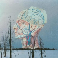 Low Songs For A Dead Pilot