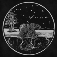 Wind In His Hair Future Primitives