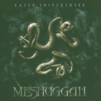 Meshuggah Catch 33
