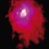 Porcupine Tree Up The Downstair -reissue-