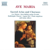 Various Ave Maria