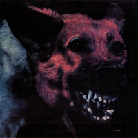 Protomartyr Under Color Of Official