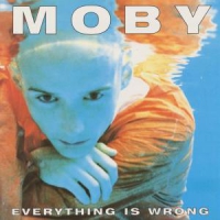 Moby Everything Is Wrong