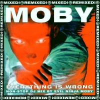 Moby Everything Is Wrong