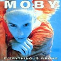 Moby Everything Is Wrong