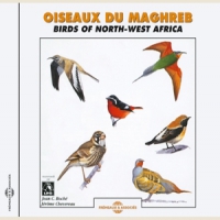Sons De La Nature Oiseaux Du Maghreb - Birds Of North