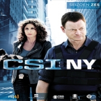 Tv Series Csi:new York-season 6-2