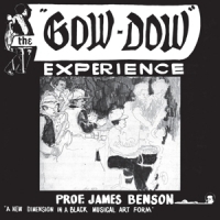 Prof. James Benson Gow-dow Experience