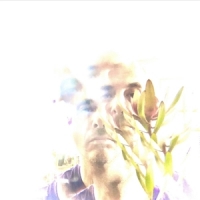 Matthew Himes Hemlock & Bergamot