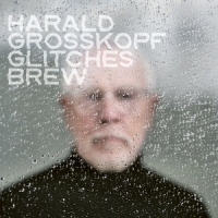 Grosskopf, Harald Glitches Brew