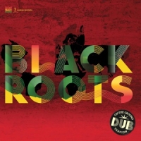 Black Roots On The Ground In Dub