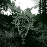 Common Eider, King Eider Yearn