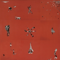 Animal Collective Hollindagain