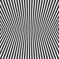 Vacant Lots Damage Control