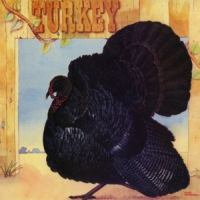 Wild Turkey Turkey