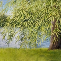 Simpson, Martin Nothing But Green Willow