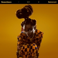Little Simz Sometimes I Might Be Introvert -digi-