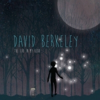 David Berkeley The Fire In My Head
