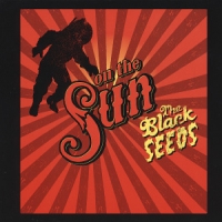 Black Seeds On The Sun