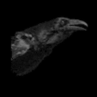 Cut City Exit Decades