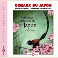 Sons De La Nature Oiseaux Du Japon. Ambiances Naturel
