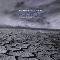 Avishai E. Cohen Flood (part Two Of The Big Rain Tri