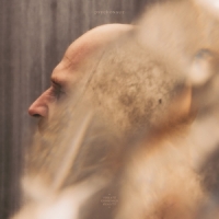 Psychonaut Violate Consensus Reality